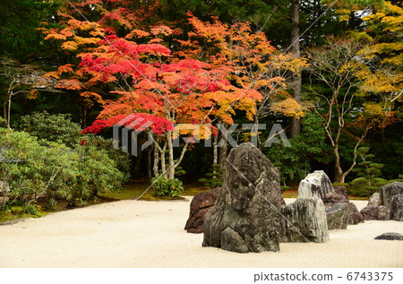 和歌山·花園和秋葉 6743375