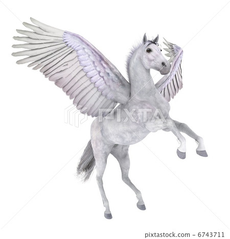 飛馬 飛馬 6743711