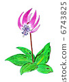 Temporary flowers 6743825