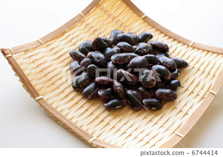 Purple flower bean 6744414