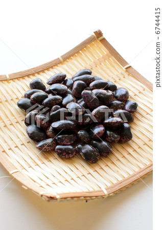 紫色花豆 紫色花豆 6744415
