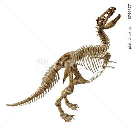 T-REX骨頭☆霸王龍 6744877