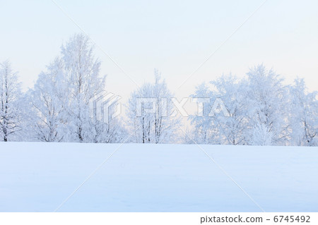 Winter landscape Winter landscape 6745492