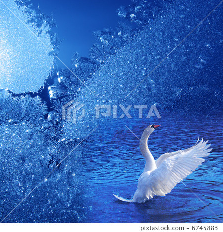 Winter dream Winter dream 6745883