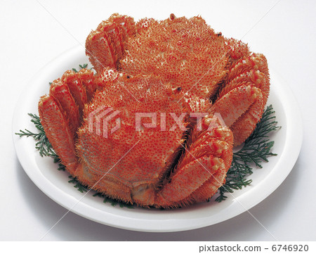 兩百毛的頭髮 6746920