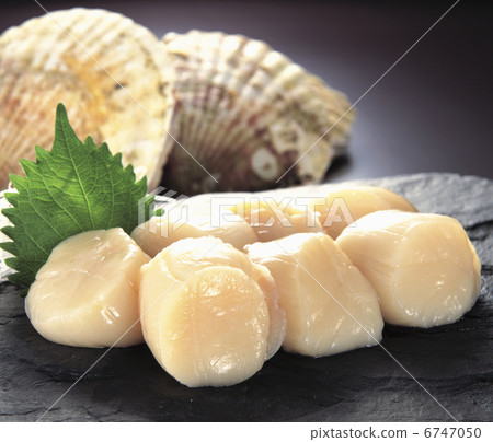 Scallop Scallop 6747050