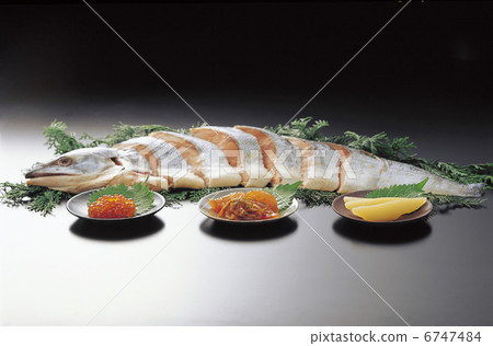 Fishes of the North Sea 6747484