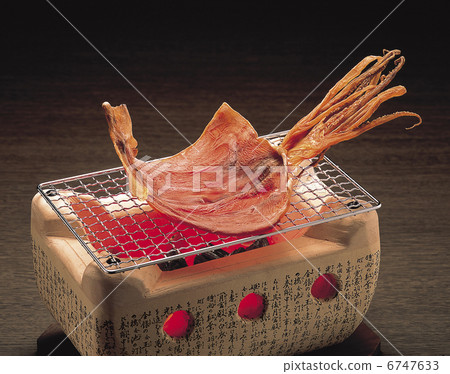 Squid squid 6747633