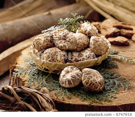 Oita prefecture produced, Tian white dumpling shiitake 6747658