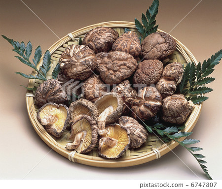 大分縣餃子香菇 6747807