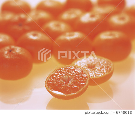 Mandarin orange  6748018