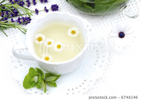 香草茶 香草茶 6748146