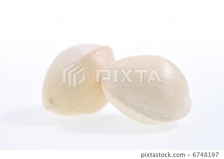 Ginkgo 6748197