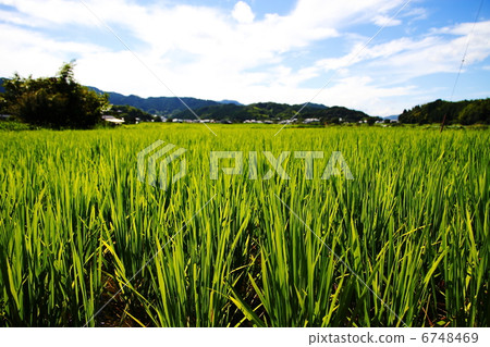 奈良02的風景 6748469