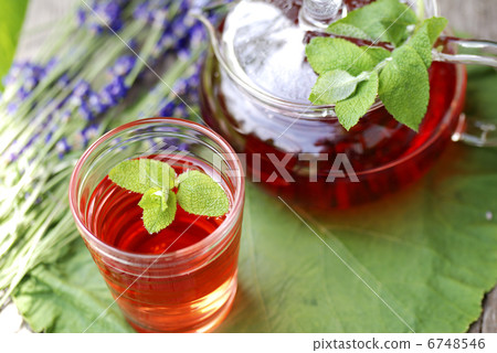 香草茶 香草茶 6748546