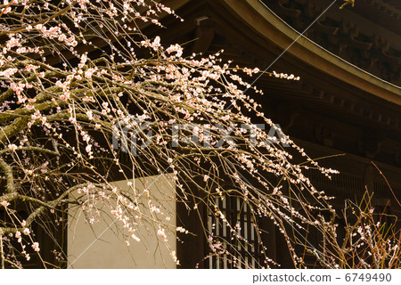 Yuizumi寺 Yuizumi寺 6749490