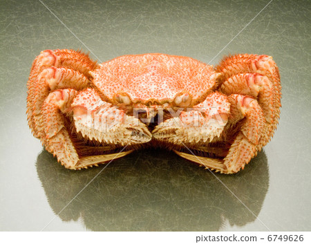 Hair crab Hair crab 6749626