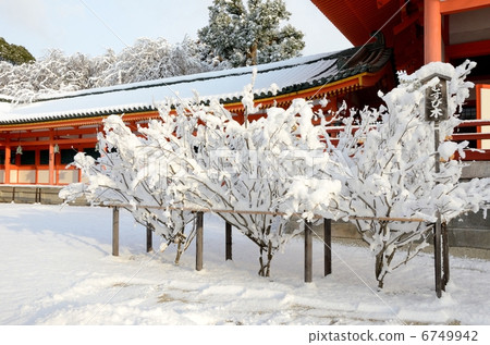 平安神宮,雪Musubi 平安神宮,雪Musubi 6749942