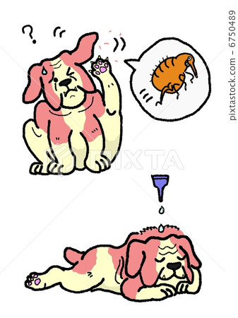 Dog flea control 6750489