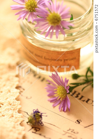 Antique bottle and peacock grass (Astor) 6751572