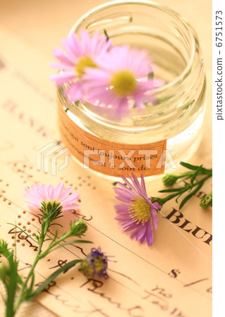 古董瓶和孔雀草（阿斯特） 6751573