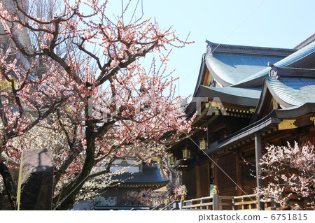 Yushima Tenjin 6751815