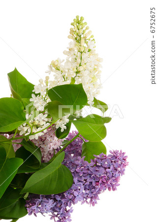 Potpourri Potpourri 6752675