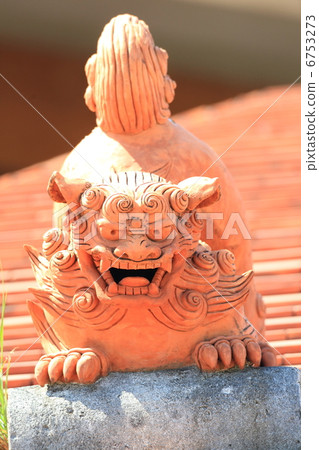 SHISA SHISA 6753273