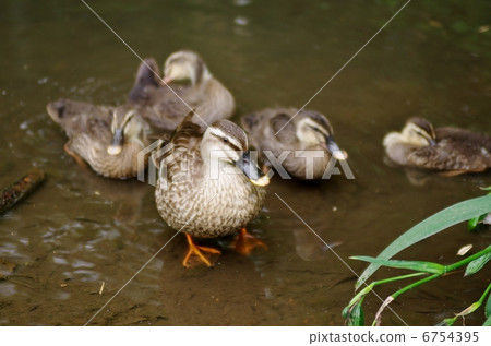 Karmala father and son Karmala father and son 6754395