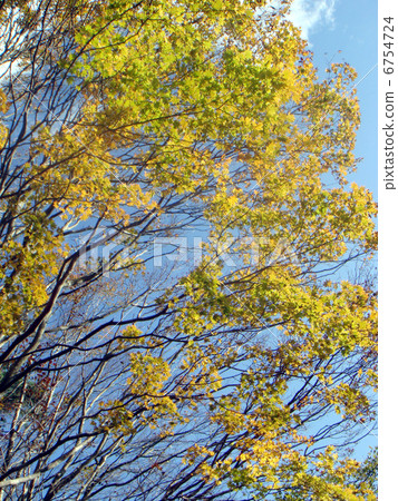 scenery scenery 6754724