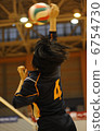 volleyball 6754730