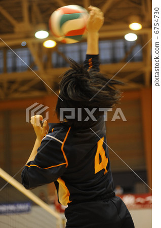 volleyball 6754730