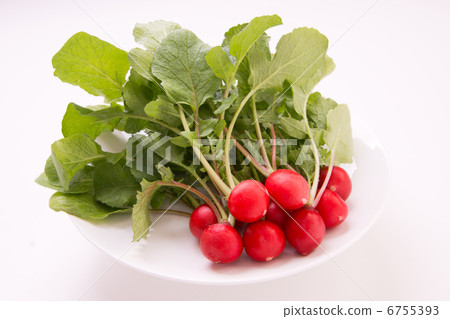 20日本蘿蔔 20日本蘿蔔 6755393