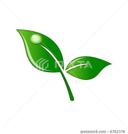 Tea leaves Tea leaves 6762376