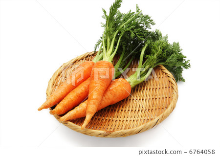 Carrots served in monkeys 6764058