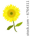 Sun Flower  6764311