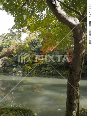 Kenrokuen秋葉 6764772