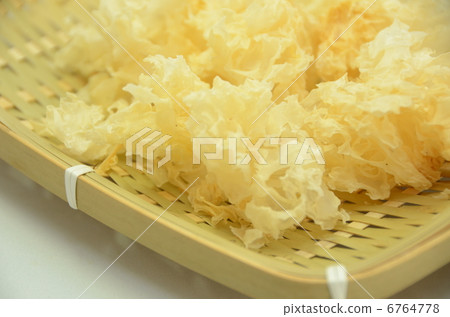 White jellyfish on a colander 6764778