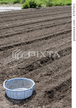 Field 6767951