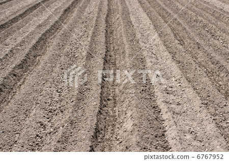 Field 6767952