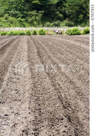 Field 6767953