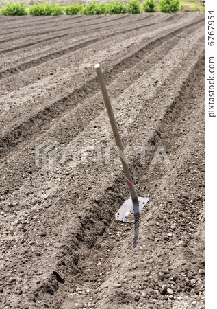 Field 6767954