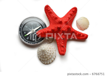 Compass, seastar and seashells on white Compass, seastar and seashells on white 6768751