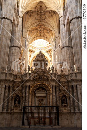 Inside of the Cathedral of Salamanca Inside of the Cathedral of Salamanca 6770209