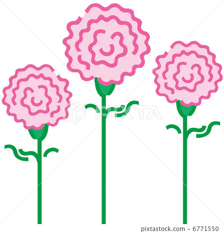 康乃馨，母親節 6771550