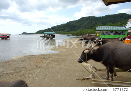 Yufu Island 19 Yufu Island 19 6771872