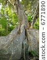 Saxis massive 7 6771890