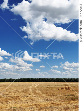 field and sky field and sky 6772061