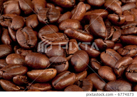 Coffee seeds laid out together Coffee seeds laid out together 6774873