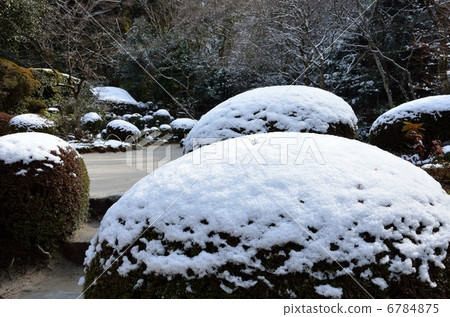 Shishido，Satsuki在花園裡 6784875